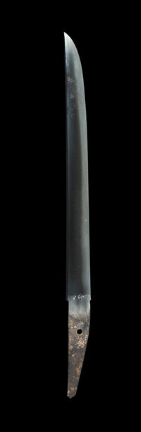 null 
Koto tanto



Middle MUROMACHI period (1333 - 1573)



Signed (mei): Muramasa



Blade...