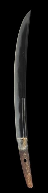 null 
Shinshinto wakizashi



19th century period



Signed (mei): Dated Kaei gonen...