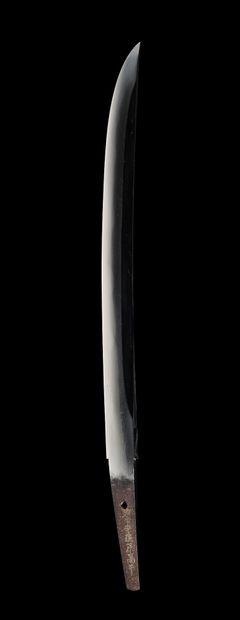 null 
Shinto wakizashi



EDO period (1603 - 1868), 17th century



Signed (mei):...