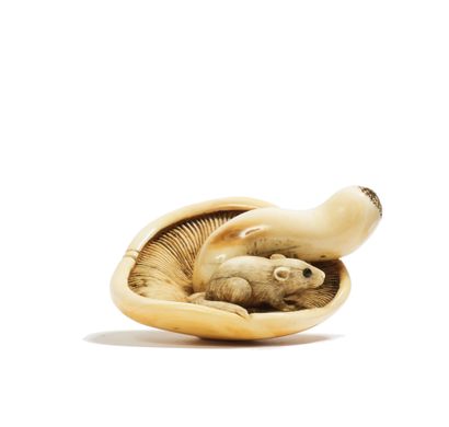 JAPON - Epoque EDO (1603 - 1868) 象牙网饰，小睡鼠，棕色的角镶嵌在一个大的倒立的蘑菇的板条上的眼睛，帽子部分被啃咬。(细裂纹)
L....