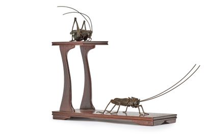 JAPON - XXe siècle Two okimono in brown patina featuring a cricket and a grasshopper,...