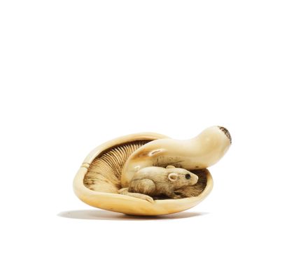 JAPON - Epoque EDO (1603 - 1868) Ivory netsuke, small dormouse with brown horn inlaid...