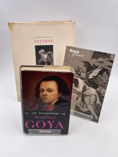 null 3 Volumes : 

- "LA VIE PASSIONNEE DE FRANCISCO GOYA" Eric Porter, Editions...