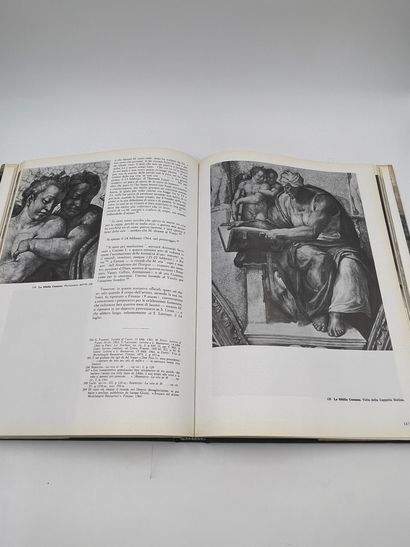 null 1 Volume : "MICHELANGELO, Architettura, Scultura, Pittura", Paolo D'Ancona,...