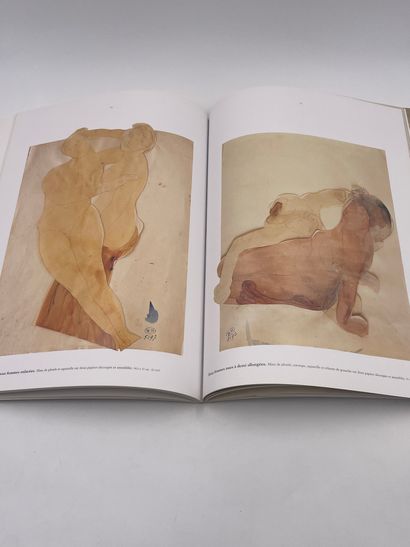 null 1 Volume : "RODIN" Aquarelles et dessins Erotiques, Editions Bibliotheque de...