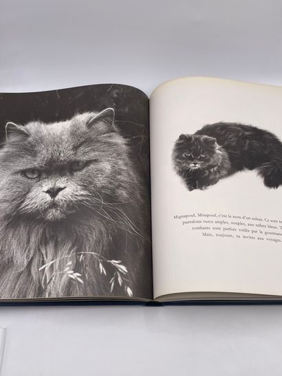 null 1 Volume : "MIROIRS DES CHATS LEONOR FINI", Photo Richard Overstreet, Editions...