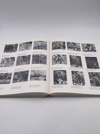 null 1 Volume : "LOUIS VALTAT" Catalogue de l'œuvre Peint 1869-1952 Tome 1, par Docteur...