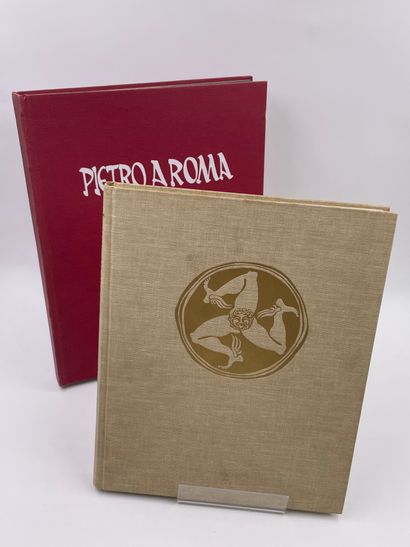 null 2 Volumes : 

- "PIETRO A ROMA", Francesco d'Arcais, Ed. Edindustria Editoriale...