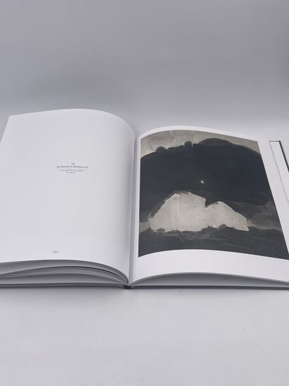 null 1 Volume : "GAO XINGJIAN", Galerie Claude bernard, Art Paris 27-30 mars 201...