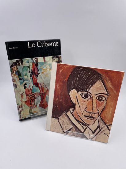 null 2 Volumes : 

- "LE CUBISME" José Pierre,Histoire Générale de la Peinture, Editions...