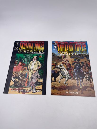 null 3 Volumes : "THE YOUNG INDIANA JONES CHRONICLES", N°1-2-3, Dark Horse Comics,...