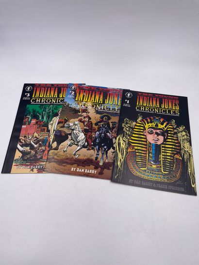 null 3 Volumes : "THE YOUNG INDIANA JONES CHRONICLES", N°1-2-3, Dark Horse Comics,...