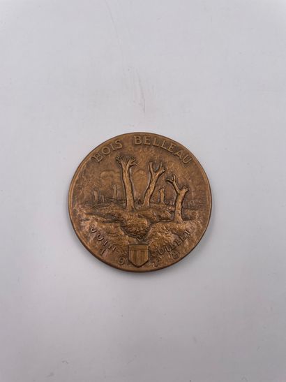 null Médaille "PORTE AVIONS-BOIS BELLEAU" par Georges Guiraud…6 cm