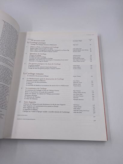 null 1卷：《迦太基，他的痕迹和他的回声的历史》，小皇宫博物馆，1995年3月9日至7月2日，巴黎市立博物馆，巴黎博物馆，（新书）。