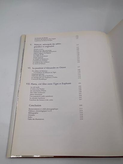 null 1 Volume : "CITÉS DU DÉSERT, PÉTRA, PALMYRE, HATRA", Henri Stierlin, Collection...