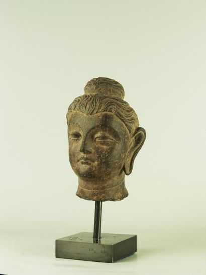 ART GRECO-BOUDDHIQUE DU GANDHARA (Ier - Vème siècle) Tête de Bouddha. En schiste....