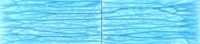 Michel GUERANGER Untitled 
Infinitely water" series 
Free diptych, acrylic on canvas,...