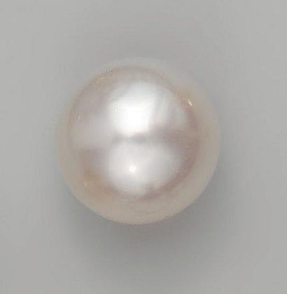 null Perle de culture blanche des Mers du Sud (16 mm)