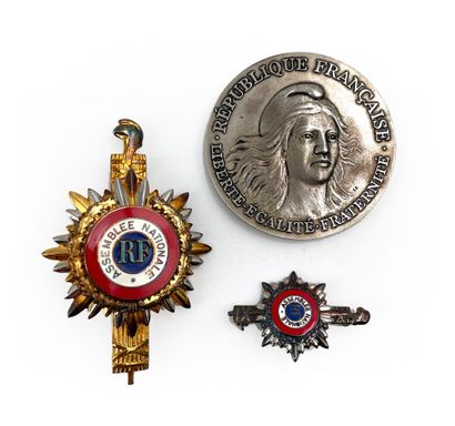 null 
银质和珐琅质的第五共和国模型André DAMIEN的代表徽章。
Goldsmith's mark Arthus Bertrand.
65 x 39...
