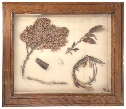 null 
Precious souvenir of Saint Helena

Branches of willow, laurel and pine from...