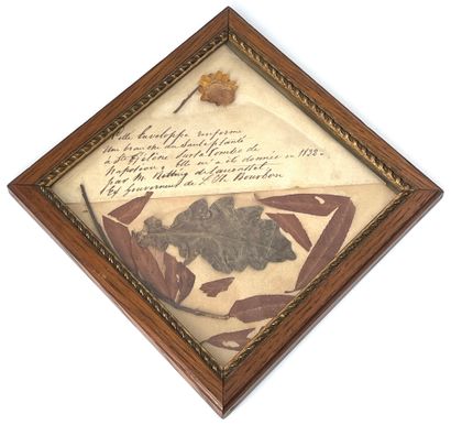 Branch of leaf and flower with handwritten...