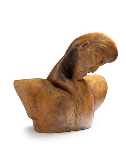 TRAVAIL MODERNE Bust of a man
Sculpture in olive tree
H : 51 cm W : 50 cm D : 25...