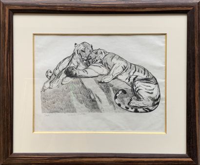 Paul JOUVE (1878-1973) 
Tigers at Rest, 1931 

Etching on Japon nacré paper

Signed...