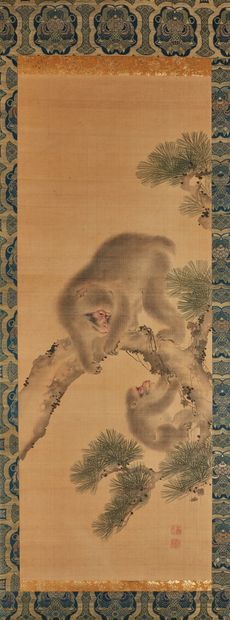 JAPON - Début XXe siècle 纸上水墨和色彩，一对猴子。签名：田道。
尺寸95 x 36厘米。
安装在卷轴上