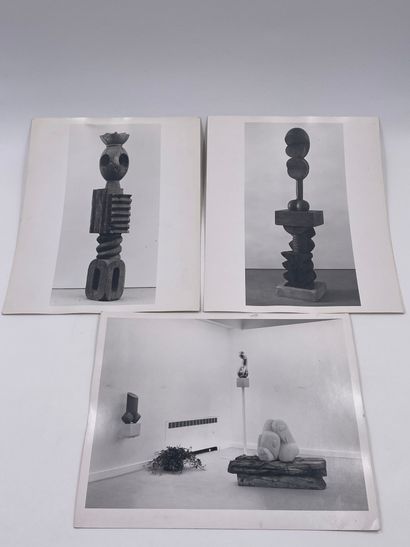 null Brancusi - Exceptionnelle Collection de 14 Photographies de Tableaux de Constantin...