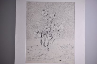 null Lucien Coutaud - Dessin à l'Encre Noire - 1944

Dimensions : 40 x 32 cm, Signé...