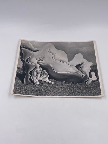 null Salvador Dali - 2 photographs of paintings from the Reynolds Morse Collection

"Bather",...