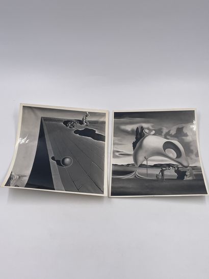 null Salvador Dali - 2 photographies de Tableaux de la Collection Reynolds Morse

"Baigneuse",...