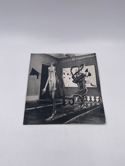 null Exposition Internationale du Surréalisme, 1947

5 Très Grandes Photographies...