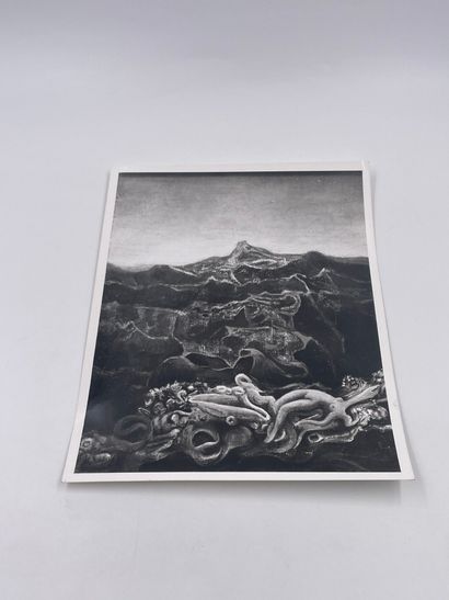 Max Ernst - Photographie d'une Oeuvre de...