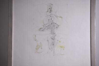 null Hans Bellmer - Engraving

78/120, Size : 39 x 29 cm.

Signed at the bottom ...