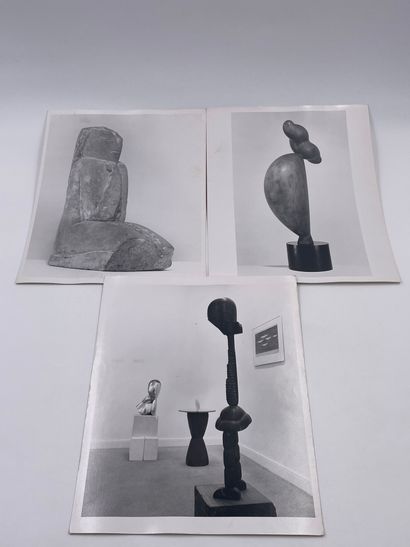 null Brancusi - Exceptionnelle Collection de 14 Photographies de Tableaux de Constantin...