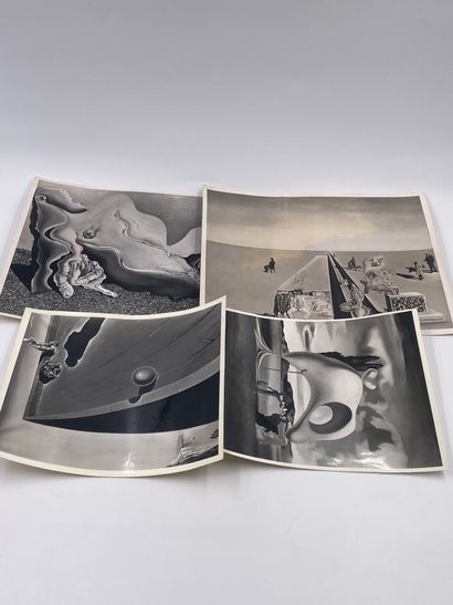 null Salvador Dali - 2 photographies de Tableaux de la Collection Reynolds Morse

"Baigneuse",...