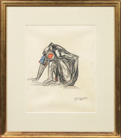 GASTON SUISSE (1896-1988) Cynocephalus, Mandrill, ca. 1935 Pastel and grease pencil...