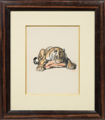 Paul JOUVE (1878-1973) Tigre sur sa proie Crayon gras, aquarelle et rehaut de gouache...
