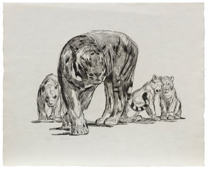 Paul JOUVE (1878-1973) Tigresse et petits, 1931 Eau-forte originale sur papier Japon...