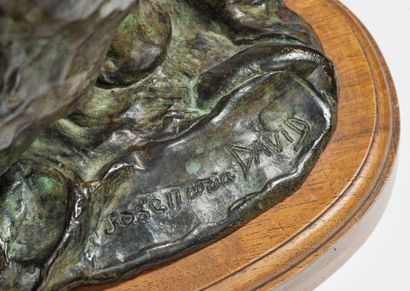 JOSÉ-MARIA DAVID (1944-2015) Elephant
Sculpture en bronze à patine verte nuancée...