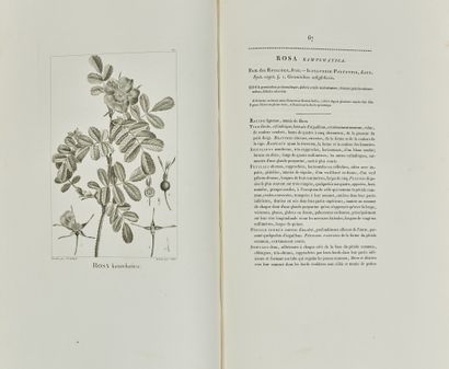 REDOUTE Pierre-Joseph et Etienne-Pierre VENTENAT : Description des plantes nouvelles...