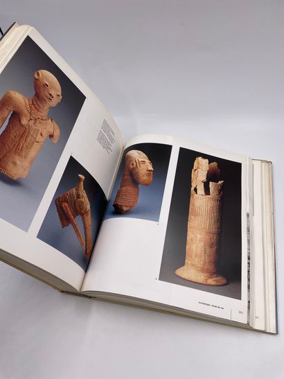 null 1 Volume : "VALLÉES DU NIGER", Paris Musée National des Arts d'Afrique et d'Océanie,...