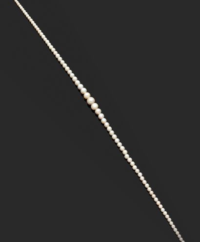 null Collier composé d'une chute de 77 perles fines et 2 de culture d'environ 3.8...