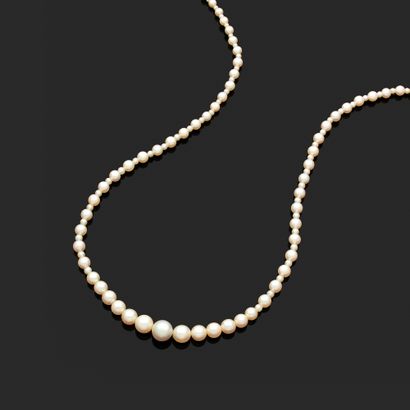 Necklace composed of a fall of pearls of...