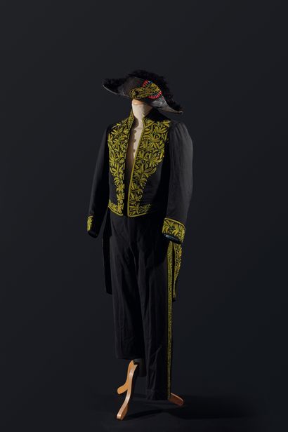 null Academician's outfit of Count Arnaud de GRAMONT, elected to the Academy of Sciences...