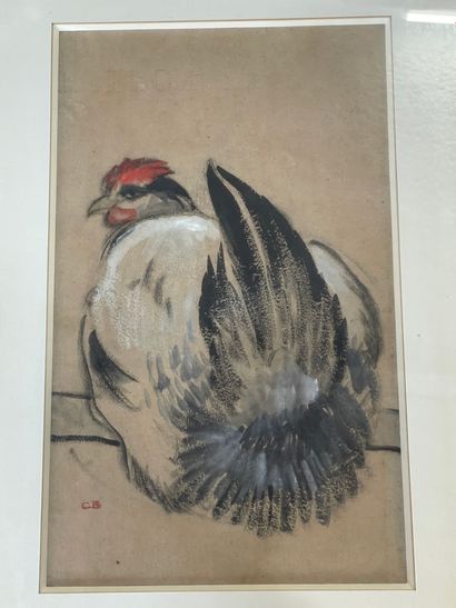 Charles Théodore BICHET (1863-1919/29) La poule pastel gouaché signé au cachet en...