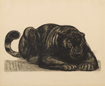 Paul JOUVE (1878-1973) Panthère couchée, 1930
Original etching on tinted Velin paper...