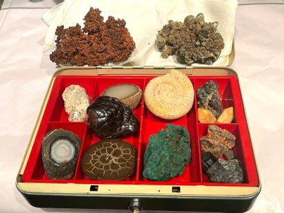 MINÉRAUX - Lot de minéraux et fossiles
