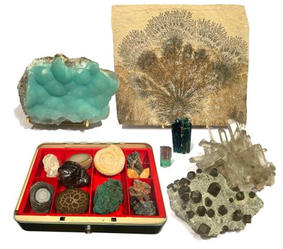 null After Succession, collection of Minerals